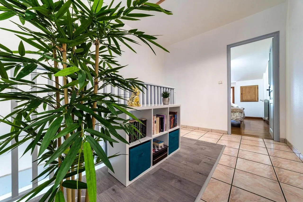 T3 Gaillac St-Jean-Fibre-Netflix-Parking